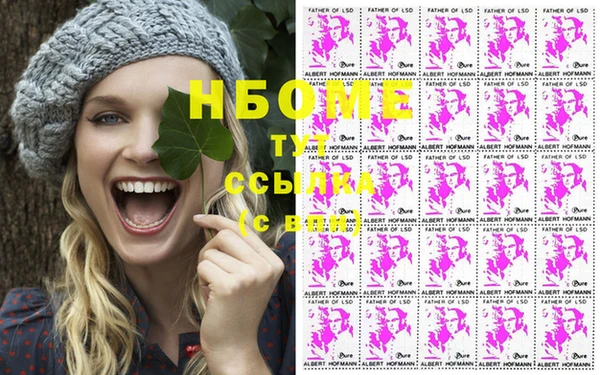мдпв Вяземский