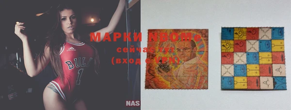 мдпв Вяземский