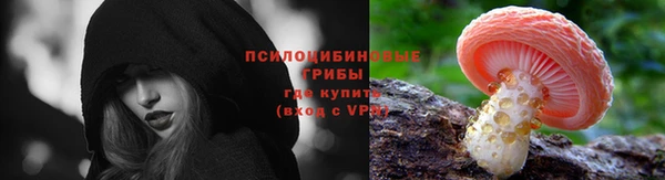 ГАЛЛЮЦИНОГЕННЫЕ ГРИБЫ Волоколамск
