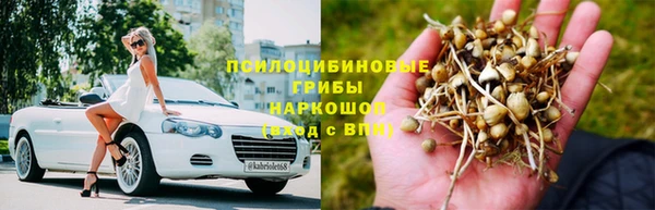 мдпв Вяземский