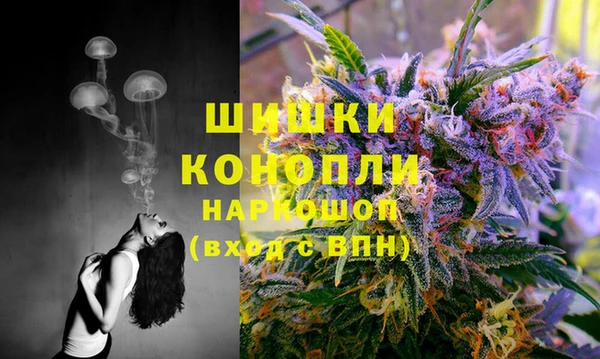 ГАЛЛЮЦИНОГЕННЫЕ ГРИБЫ Волоколамск