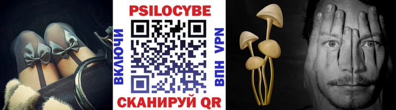 мега вход  Весьегонск  Галлюциногенные грибы прущие грибы 